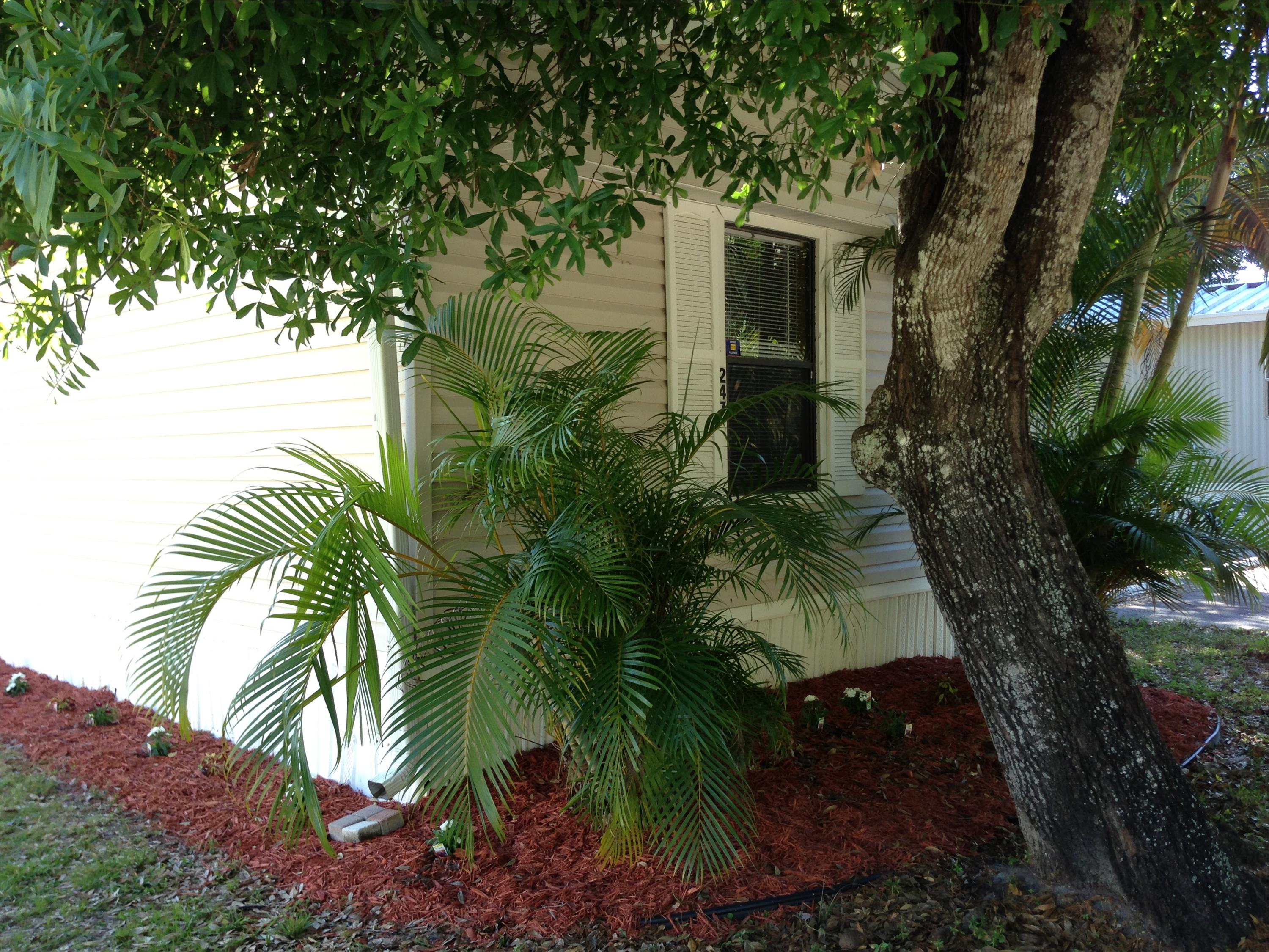247 Stockon Street